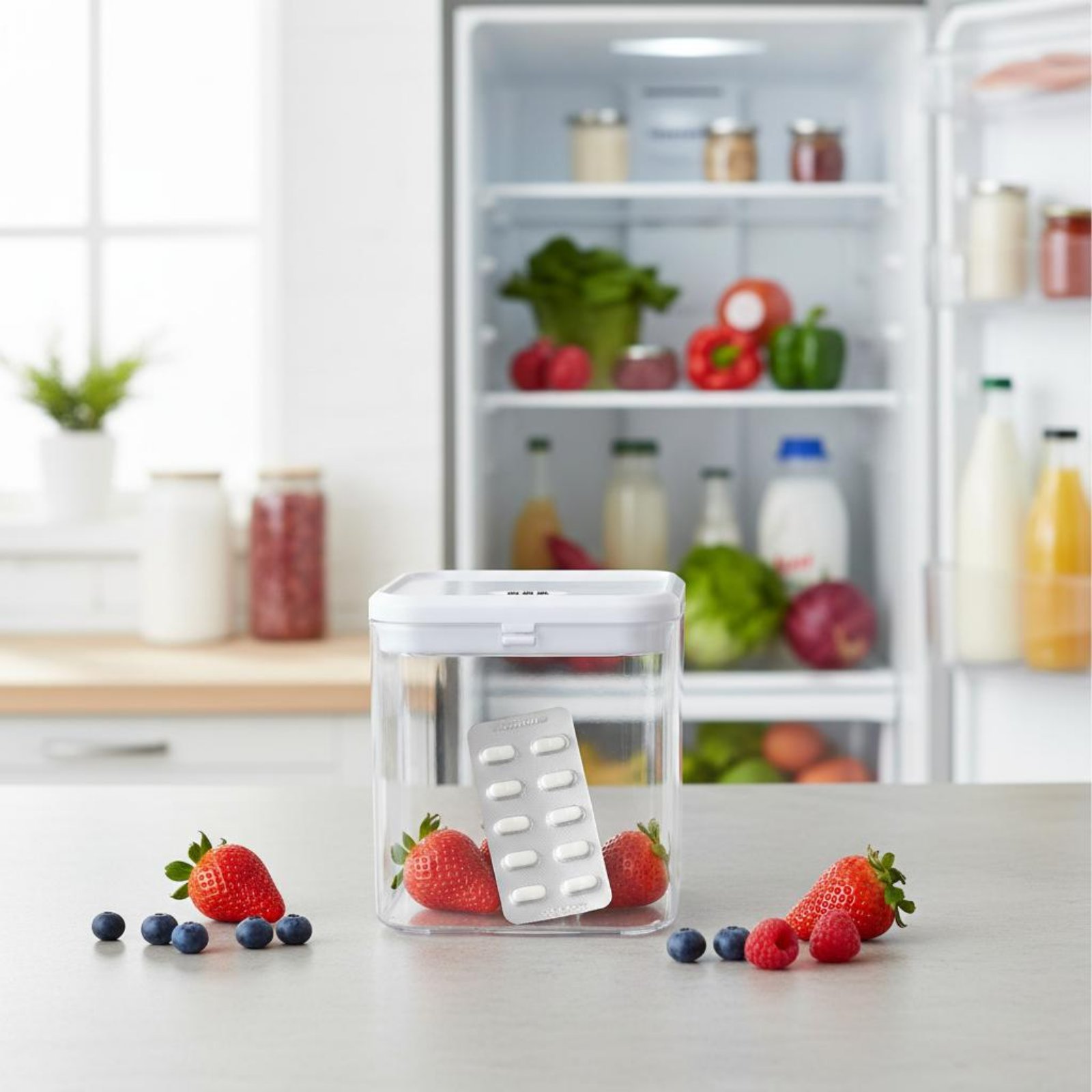 Clear Lockable Box Versatile L - Food & Snacks Coloring Book Bold & Easy ulasan dan harga